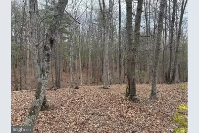 Oliver Beltz Road, Oldtown, MD 21555 - Photo 10