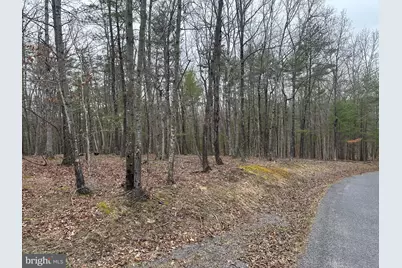 Oliver Beltz Road, Oldtown, MD 21555 - Photo 2