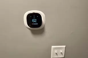 537 N Mechanic St, Cumberland, MD 21502 - Photo 8