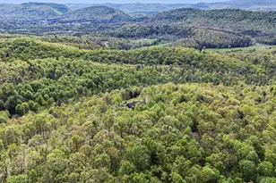 24200 E Hancock Rd, Flintstone, MD 21530 - Photo 118