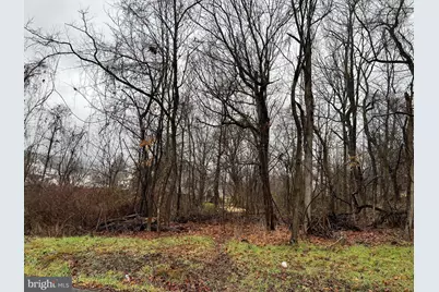 Pauline Avenue, Corriganville, MD 21524 - Photo 10