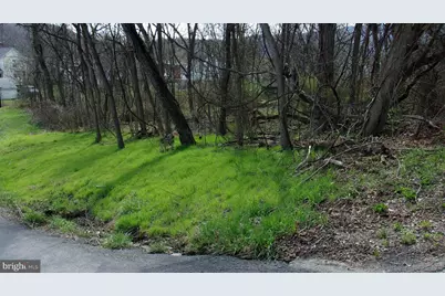 Pauline Avenue, Corriganville, MD 21524 - Photo 2