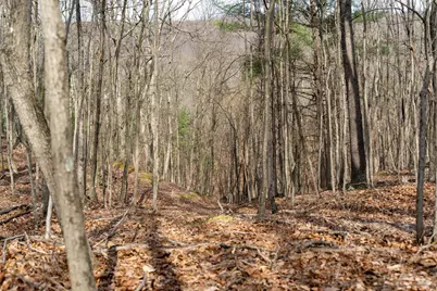 Walnut Ridge Road SE, Oldtown, MD 21555 - Photo 4