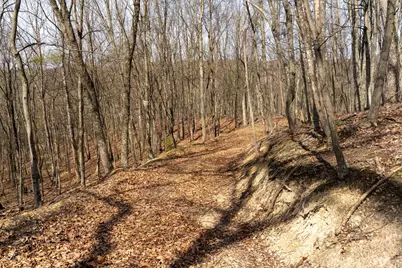 Walnut Ridge Road SE, Oldtown, MD 21555 - Photo 10