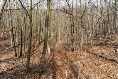 Walnut Ridge Road SE, Oldtown, MD 21555 - Photo 6