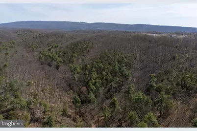 Walnut Ridge Road SE, Oldtown, MD 21555 - Photo 16