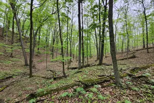 11900 Messick Rd SE, Cumberland, MD 21502 - Photo 56