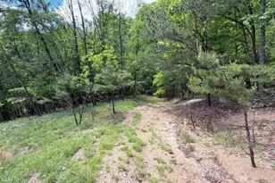 12717 N Cresap St, Cumberland, MD 21502 - Photo 84
