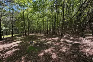 12717 N Cresap St, Cumberland, MD 21502 - Photo 72
