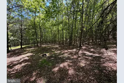 12717 N Cresap Street, Cumberland, MD 21502 - Photo 70