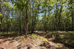 12717 N Cresap St, Cumberland, MD 21502 - Photo 70