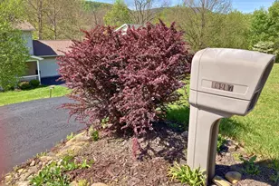 10907 Thornwood Dr NW, Lavale, MD 21502 - Photo 2