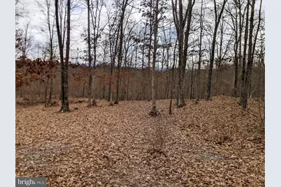 Bear Hill Road SE, Oldtown, MD 21555 - Photo 8