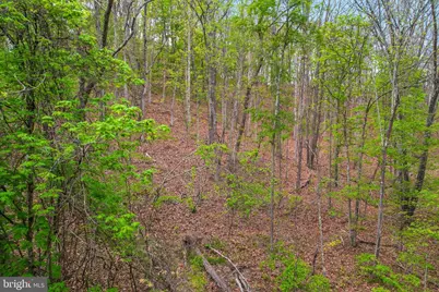 Bear Hill Road SE, Oldtown, MD 21555 - Photo 10