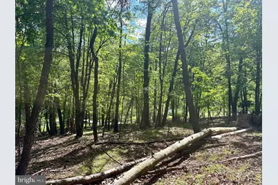 Robinhood Drive, Lavale, MD 21502 - Photo 6