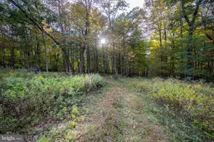 15800 Sprucewood Dr, Frostburg, MD 21532 - Photo 42