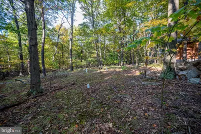 15800 Sprucewood Drive, Frostburg, MD 21532 - Photo 68