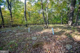 15800 Sprucewood Dr, Frostburg, MD 21532 - Photo 70