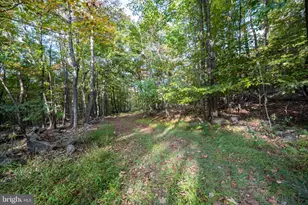 15800 Sprucewood Dr, Frostburg, MD 21532 - Photo 34