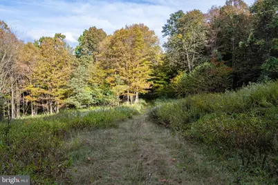 15800 Sprucewood Drive, Frostburg, MD 21532 - Photo 42