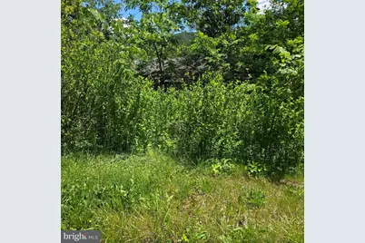 13008 Mallard Street, Cumberland, MD 21502 - Photo 6