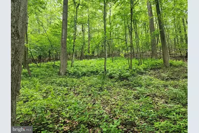94 Acres Moores Hollow Road, Cumberland, MD 21502 - Photo 28