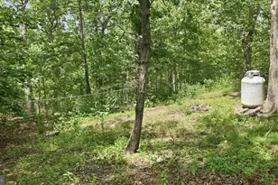 325 Francis Ct, Cumberland, MD 21502 - Photo 52