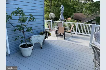 15206 Bourbon Street SW, Cresaptown, MD 21502 - Photo 52
