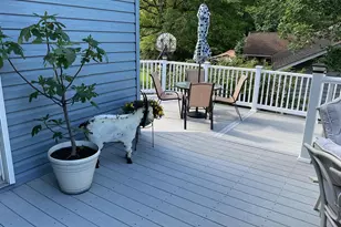 15206 Bourbon St SW, Cresaptown, MD 21502 - Photo 52