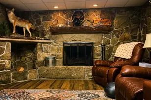 20905 Water Station Run Road SW, Lonaconing, MD 21539 - Photo 4