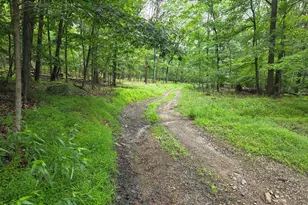 10807 Shortest Day Rd NW, Lavale, MD 21502 - Photo 2