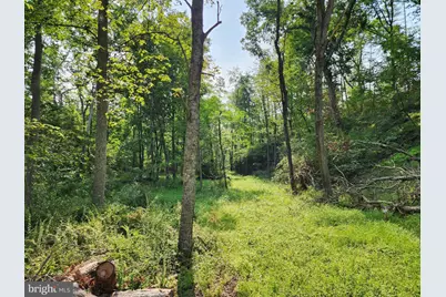 27406 Sulphur Springs Road SE, Oldtown, MD 21555 - Photo 48