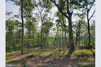 27406 Sulphur Springs Road SE, Oldtown, MD 21555 - Photo 78