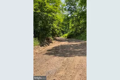 25413 Sisler Hill Road, Westernport, MD 21562 - Photo 6