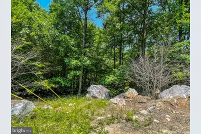 25413 Sisler Hill Road, Westernport, MD 21562 - Photo 4