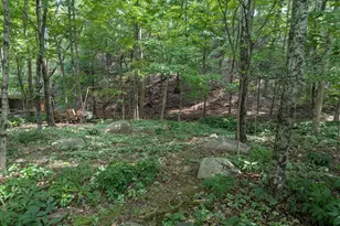 12802 Gramlich Rd SW, Lavale, MD 21502 - Photo 18