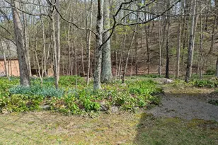 12802 Gramlich Rd SW, Lavale, MD 21502 - Photo 8