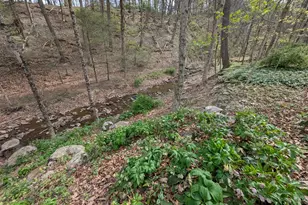 12802 Gramlich Rd SW, Lavale, MD 21502 - Photo 16