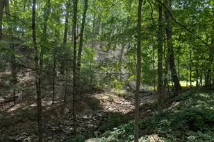 12802 Gramlich Rd SW, Lavale, MD 21502 - Photo 14