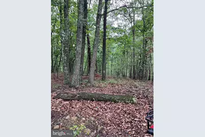 Lot #10 Martins Mountain Lane, Oldtown, MD 21555 - Photo 24