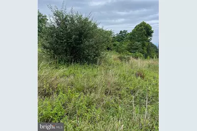 Lot #10 Martins Mountain Lane, Oldtown, MD 21555 - Photo 12