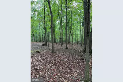 Lot #10 Martins Mountain Lane, Oldtown, MD 21555 - Photo 20