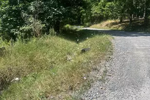 Log Trail Rd, Cumberland, MD 21502 - Photo 1