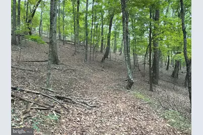 24200 E Hancock Road, Flintstone, MD 21530 - Photo 104