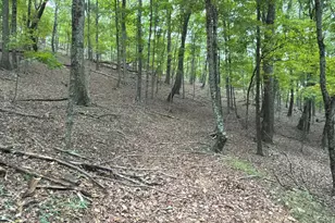 24200 E Hancock Rd, Flintstone, MD 21530 - Photo 104