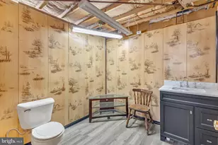 20619 Lord Road SW, Midland, MD 21542 - Photo 28