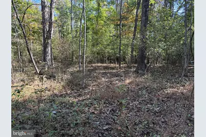 13704 Fir Tree Lane, Cresaptown, MD 21502 - Photo 2
