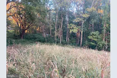 Dover Road, Glyndon, MD 21071 - Photo 12