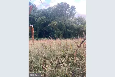 Dover Road, Glyndon, MD 21071 - Photo 10