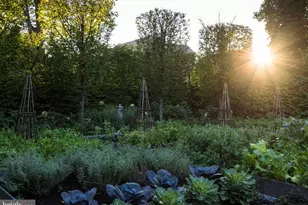 933 Hillside Lot A, Lutherville Timonium, MD 21093 - Photo 12